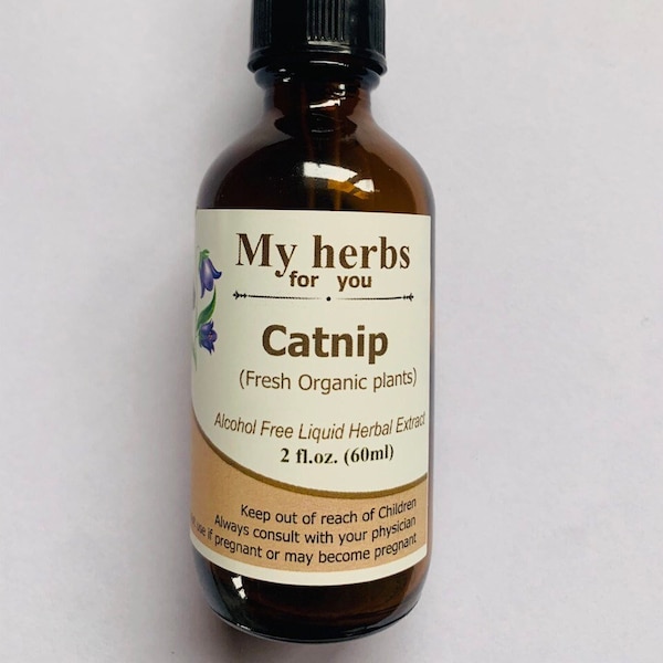 Catnip Plants Etsy