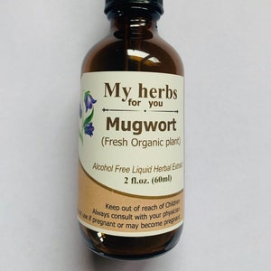 Mugwort Glycerite (Alcohol Free), Artemisia Vulgaris, Made out of Fresh plants