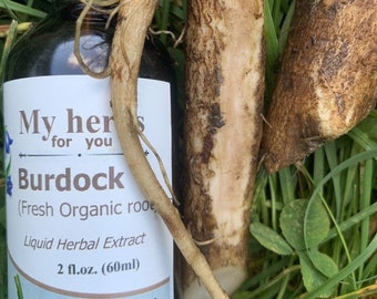 Burdock (Fresh Organic root) tincture