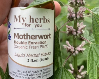 May include: A brown glass bottle with a white label that reads "My herbs for you Motherwort Double Extraction (Organic Fresh Plant) Liquid Herbal Extract 2 fl.oz. (60ml) Keep out of reach of Children Always consult with your physician if pregnant or may become pregnant". The bottle is next to a green plant with pink flowers.