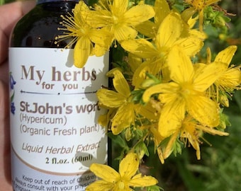 May include: A brown glass bottle with a dropper top, labeled "My herbs for you St.John's wort (Hypericum) (Organic Fresh plant) Liquid Herbal Extract 2 fl.oz. (60ml)". The bottle is in front of a bunch of yellow St. John's Wort flowers.