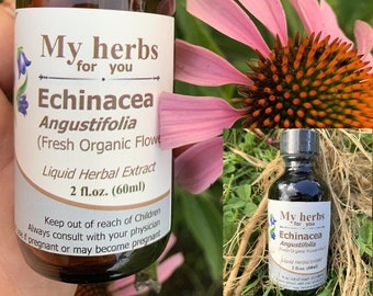 Echinacea Angustifolia tincture, Fresh Organic