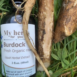 Burdock (Fresh Organic root) tincture