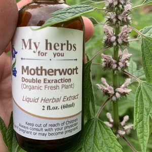 Motherwort (FRESH Organic plant) tincture, Leonurus cardiaca