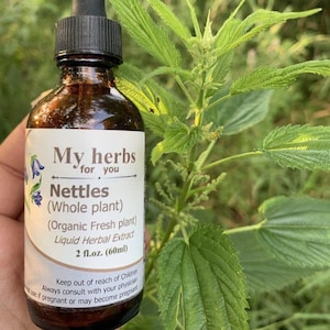 Nettles (FRESH Organic plant) tincture