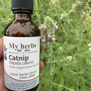 May include: A brown glass bottle with a dropper top, labeled "My herbs for you Catnip (Nepeta cataria) (Fresh Organic flowering herb) Liquid Herbal Extract 2 fl.oz. (60ml) Keep out of reach of Children Always consult with your physician if pregnant or may become pregnant"