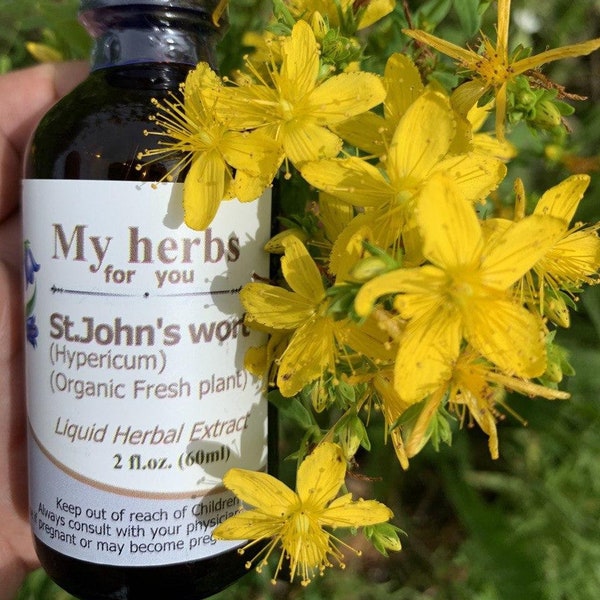 St.John's wort (Fresh Organic plant) tincture, Hypericum perforatum