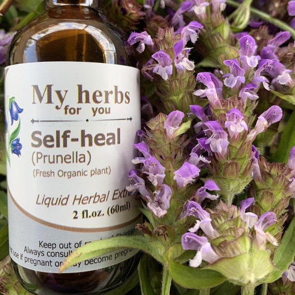Self Heal (FRESH Organic plant) Tincture, Prunella, Heal-all