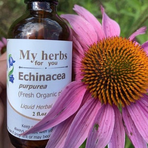 Echinacea purpurea (Fresh Organic plant) tincture, purple coneflower, (Fresh flower only)