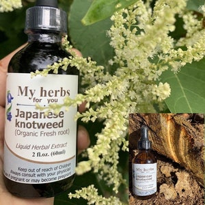 May include: A dark glass bottle with a dropper top, labeled "My herbs for you Japanese knotweed (Organic Fresh root)" and "Liquid Herbal Extract 2 fl.oz. (60ml)". The bottle is in front of a green plant with white flowers. The label also includes the text "Keep out of reach of Children Always consult with your physician if pregnant or may become pregnant."