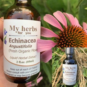Echinacea Angustifolia tincture, Fresh Organic