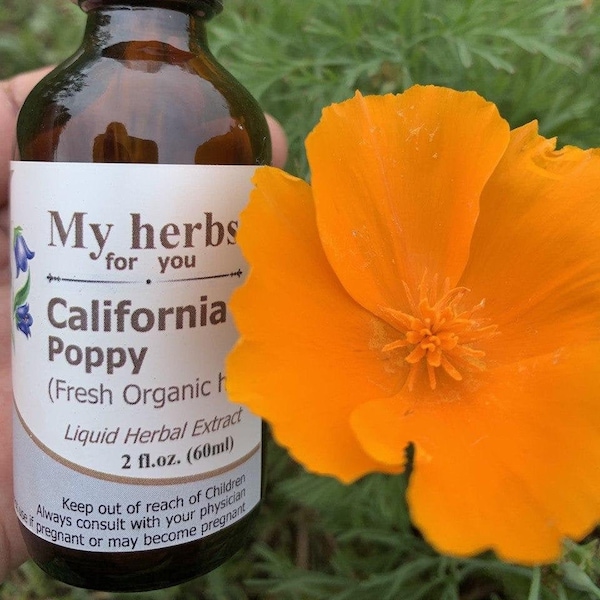 California poppy (FRESH Organic plant) tincture, Eschscholzia californica