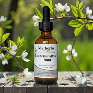 Marshmallow tincture, Althaea officinalis