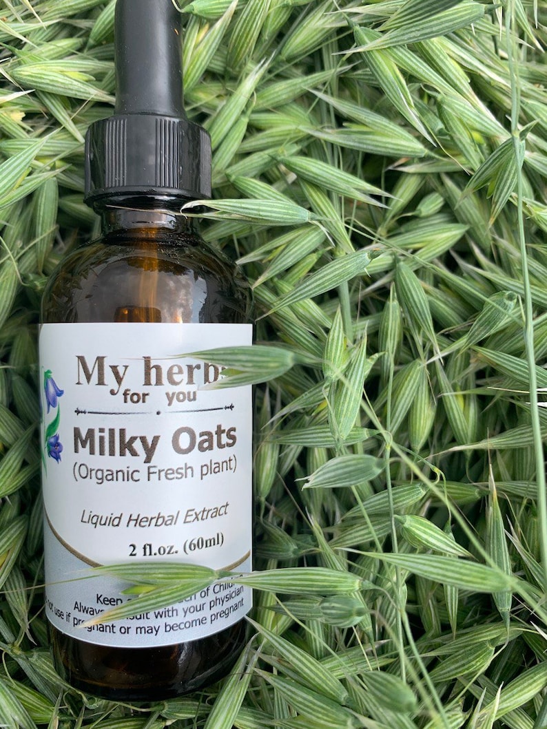 Pode incluir: Uma garrafa de vidro marrom com um conta-gotas, etiquetada "My herb for you Milky Oats (Organic Fresh plant) Liquid Herbal Extract 2 fl.oz. (60ml)". A garrafa est&aacute; sobre um leito de grama verde.