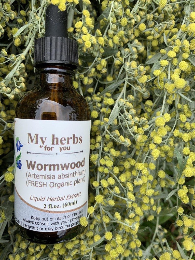 May include: A brown glass bottle with a black dropper top, labelled "My herbs for you Wormwood (Artemisia absinthium) (FRESH Organic plant) Liquid Herbal Extract 2 fl.oz. (60ml)" Keep out of reach of children Always consult with your physician use if pregnant or may become pregnant