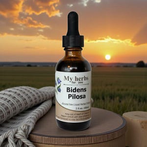 Extrait d'herbes de Bidens Pilosa, biologique (sans alcool)