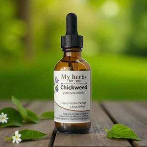 Chickweed tincture, Organic, Stellaria media