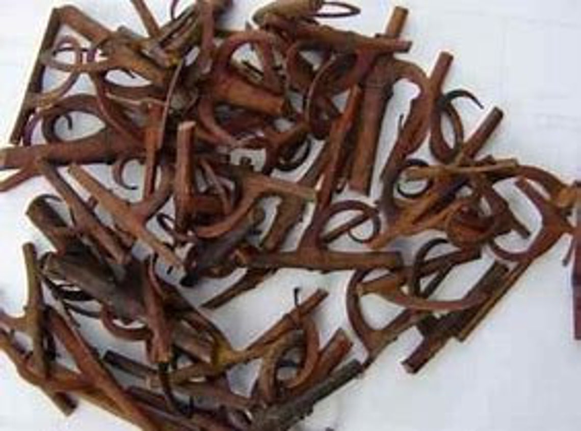 Gou Teng Uncaria Rhynchophylla Chinese Cat's Claw Etsy