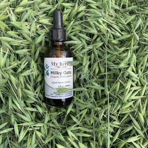 Pode incluir: Uma garrafa de vidro de extrato de ervas l&iacute;quidas de aveia leitosa, etiquetada como "My Herbs for You" e "Organic Fresh Plant". A garrafa est&aacute; sobre um leito de caules de aveia verdes.