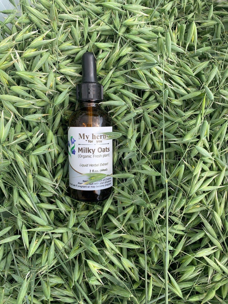 Pode incluir: Uma garrafa de vidro de extrato de ervas l&iacute;quidas de aveia leitosa, etiquetada como "My Herbs for You" e "Organic Fresh Plant". A garrafa est&aacute; sobre um leito de caules de aveia verdes.