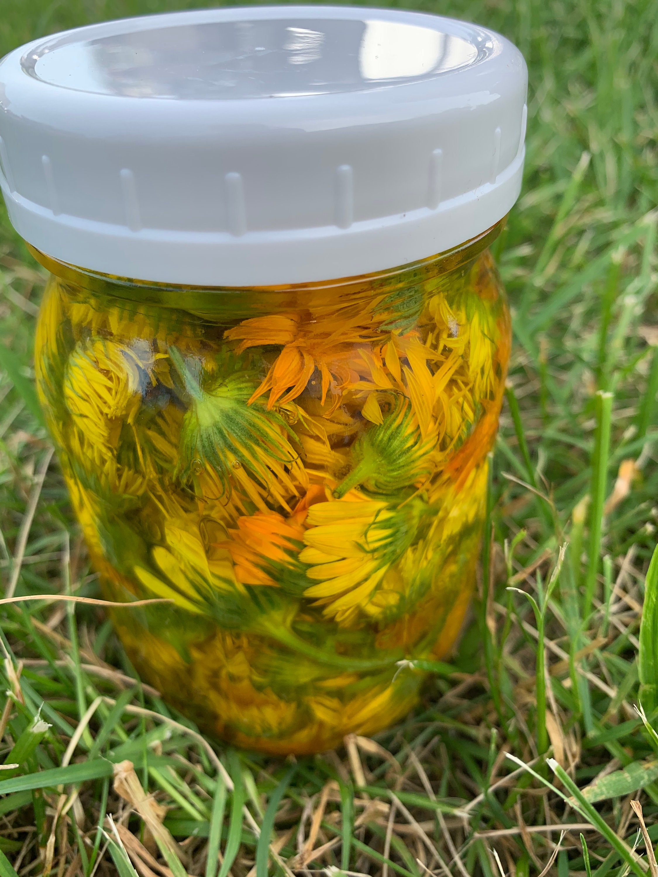 Calendula (fresh Organic Plant) Tincture, Marigold - Etsy