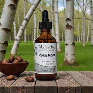 Poke Root tincture, Organic