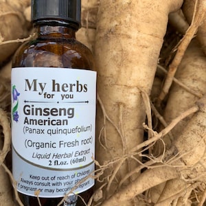 Ginseng (FRESH organic roots) tincture, Ginseng American, Panax quinquefolium