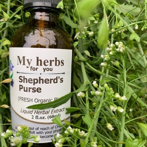 May include: A brown glass bottle with a dropper top, labeled "My herbs for you Shepherd's Purse (FRESH Organic Plant Liquid Herbal Extract 2 fl.oz. (60ml) out of reach of children. Consult with your physician if symptoms become worse."