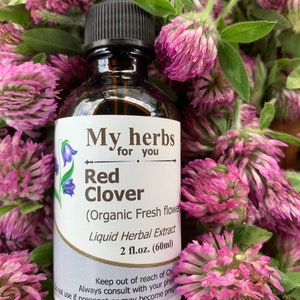 Red Clover tincture (FRESH Organic herb), Trifolium pratense