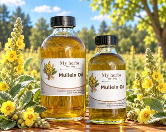 Könnte beinhalten: Zwei klare Glasflaschen gefüllt mit goldenem Königskerzenöl, jeweils mit einem weißen Etikett mit dem Text My herbs for you Mullein Oil und den Inhaltsstoffen Organic Extra Virgin Olive Oil und Organic Mullein flowers.