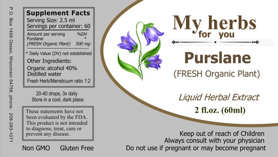 dr hauschka med ice plant Dr.Hauschka Ice Plant Intensive hair cream 50 ml  My Dr. XM