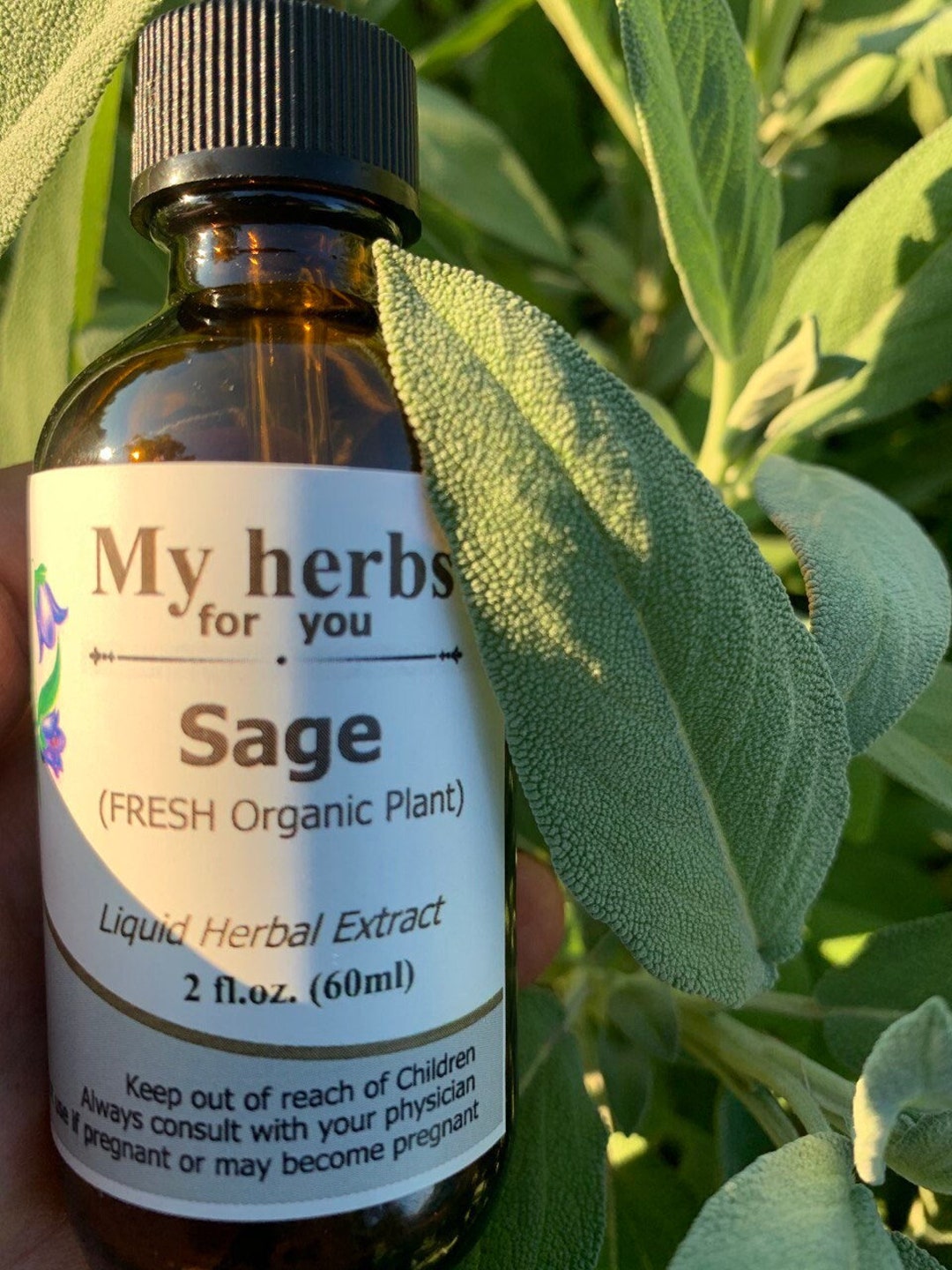 Sage FRESH Organic Plant Tincture, Salvia Officinalis Etsy