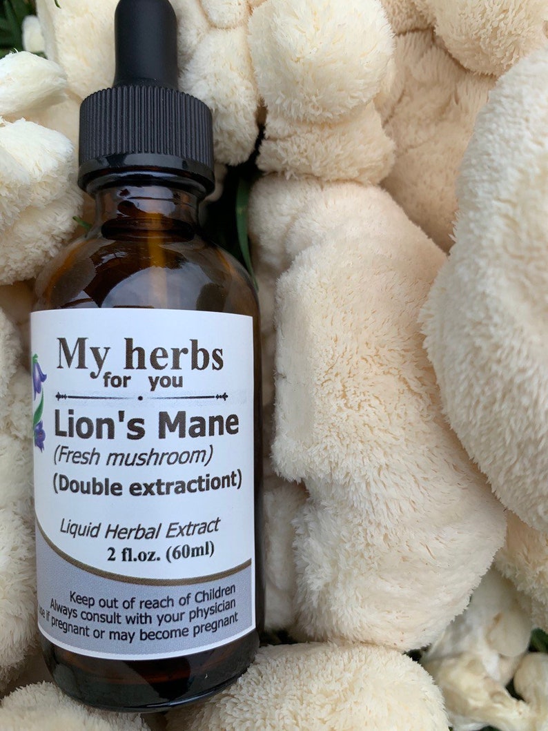 May include: A brown glass bottle with a dropper top and a white label that reads "My herbs for you Lion's Mane (Fresh mushroom) (Double extraction) Liquid Herbal Extract 2 fl.oz. (60ml) Keep out of reach of Children Always consult with your physician if pregnant or may become pregnant". The bottle is sitting on a bed of white lion's mane mushrooms.
