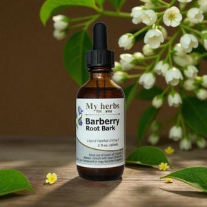 Barberry root bark tincture, Berberis vulgaris