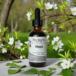 Hopfentinktur, Bio-Kraut, Humulus