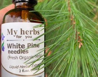 White Pine needles (FRESH ORGANIC) tincture