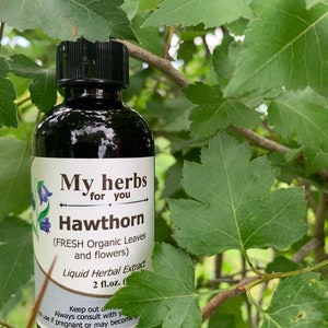 Hawthorn (Organic leaves and flowers) tincture