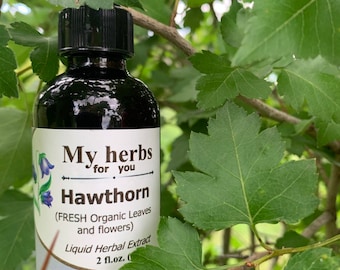 Hawthorn (Organic leaves and flowers) tincture