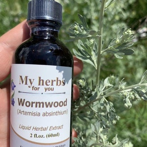 May include: A dark brown glass bottle with a dropper top, labelled "My herbs for you Wormwood (Artemisia absinthium) Liquid Herbal Extract 2 fl.oz. (60ml)". The bottle is sitting on a hand, with a green plant in the background.