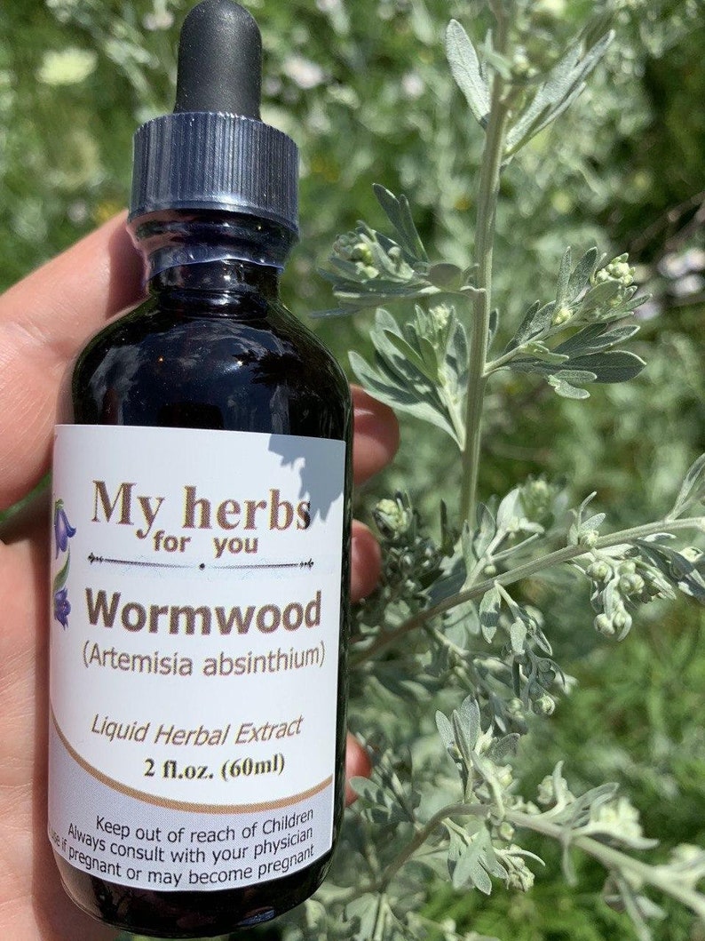 May include: A dark brown glass bottle with a dropper top, labelled "My herbs for you Wormwood (Artemisia absinthium) Liquid Herbal Extract 2 fl.oz. (60ml)". The bottle is sitting on a hand, with a green plant in the background.