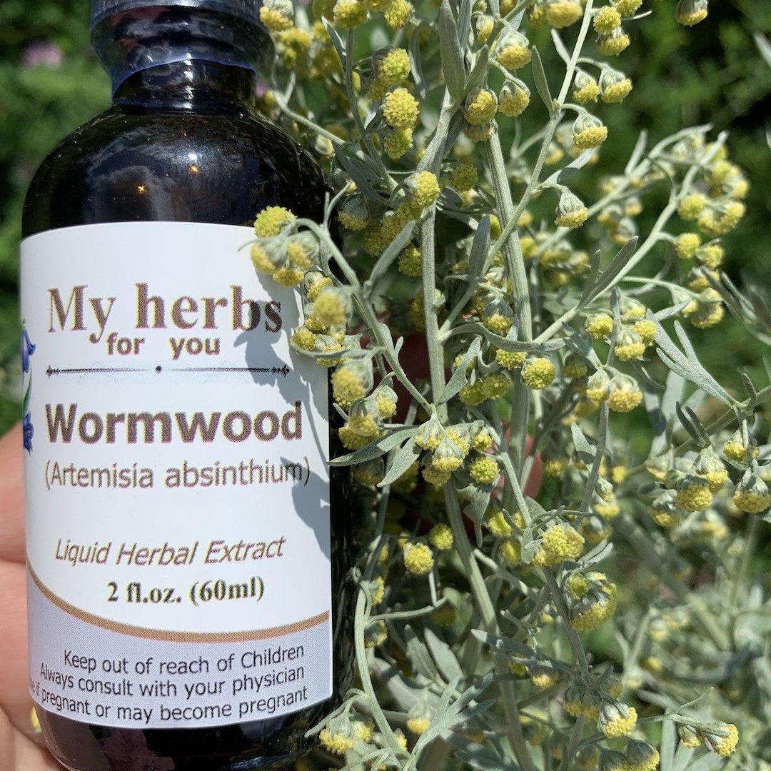 Wormwood Tincture (FRESH Organic Plant) Tincture, Artemisia Absinthium ...