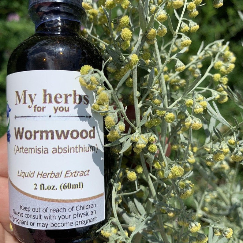 May include: A glass bottle with a white label that reads "My herbs for you Wormwood (Artemisia absinthium) Liquid Herbal Extract 2 fl.oz. (60ml) Keep out of reach of Children Always consult with your physician if pregnant or may become pregnant". The bottle is sitting on a green plant with small yellow flowers.