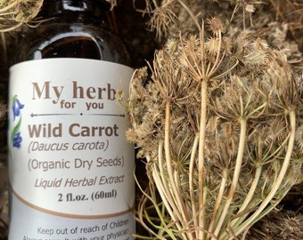 Tinctuur van wilde wortelzaad, biologische droge zaden! Daucus carota