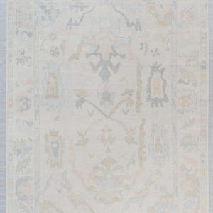 May include: A light beige rug with a delicate floral pattern in shades of blue, pink, and brown. The rug has a subtle distressed look and a fringed border.