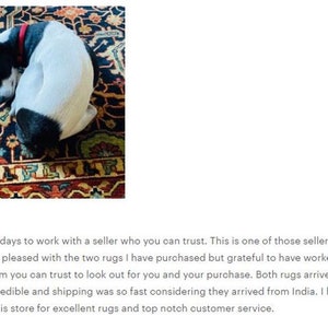 May include: Five star review with text praising a seller for their excellent customer service and fast shipping of two rugs. The review includes a photo of a black and white dog sleeping on a colorful rug.