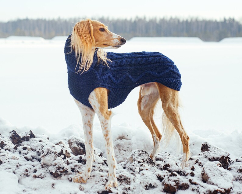Greyhound Sweater / Extra Warm 100% Wool / Custom Made - Etsy
