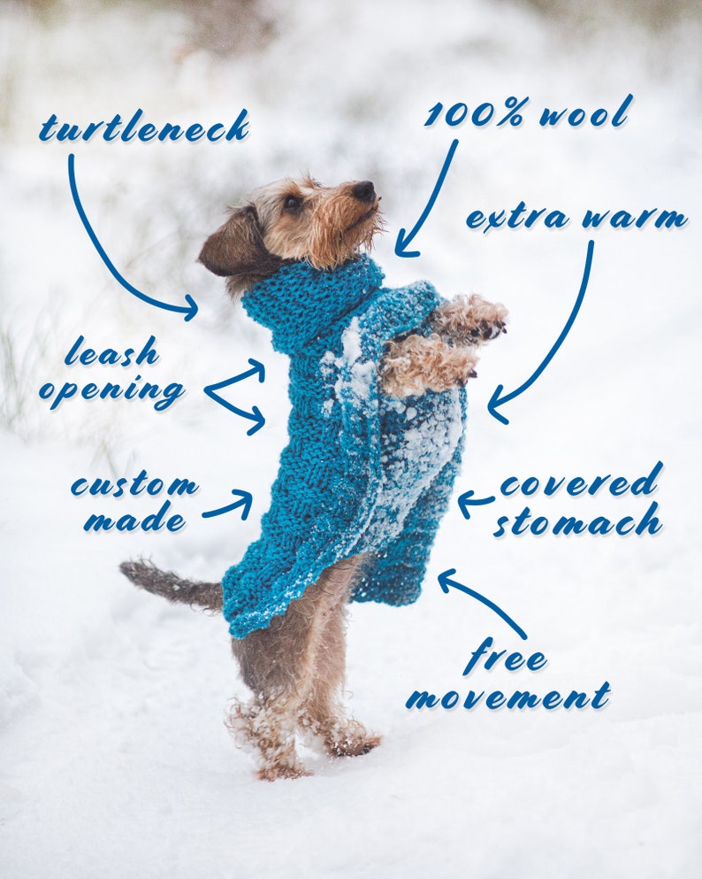 Winter Dog Coat / Warm Sweater for Dogs / Custom Made to Order Etsy