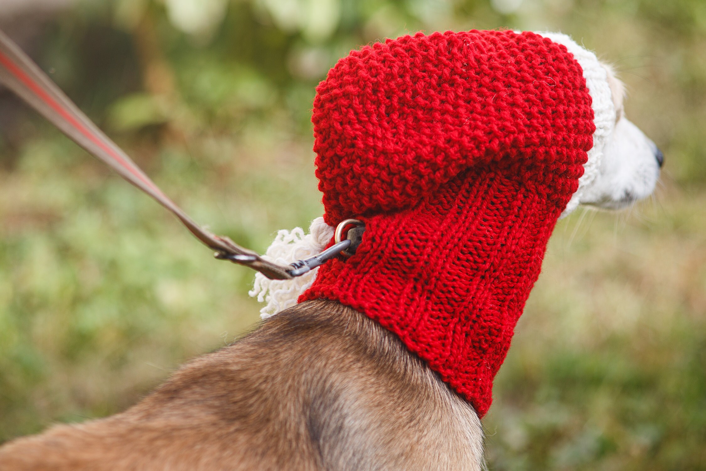 Christmas Dog Hat Knitting Pattern / Stepbystep Knit Etsy