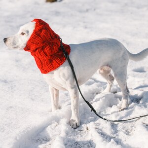 Dog snood knitting pattern/ Written and chart instructions / All sizes included: Italian Greyhound, Whippet, Saluki and others image 10