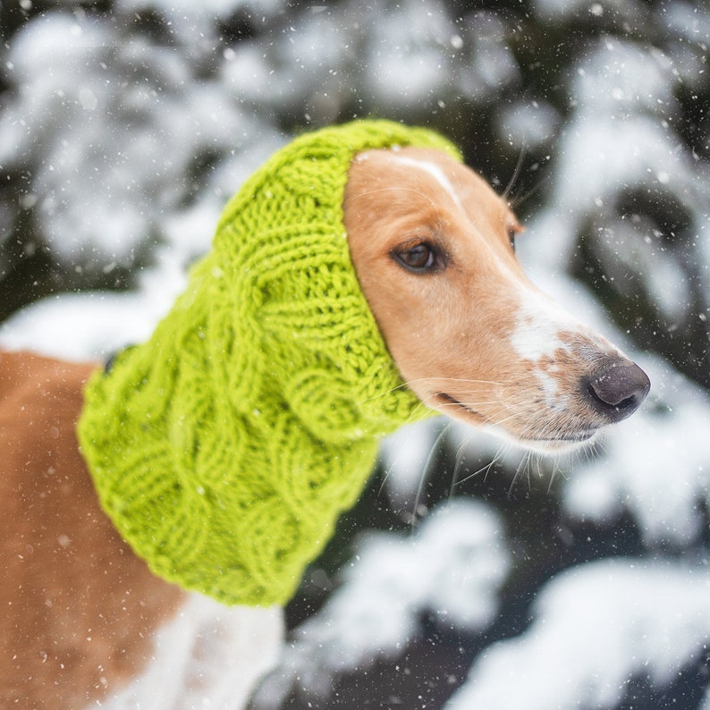 Dog snood knitting pattern/ Written and chart instructions / All sizes included: Italian Greyhound, Whippet, Saluki and others image 8